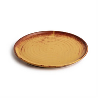 Olympia Canvas Small Rim Round Plate Sienna Rust 265mm (Pack of 6)